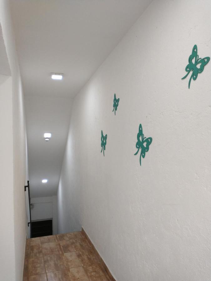Apartamento Departamentos Pachamama Tunuyán Exterior foto