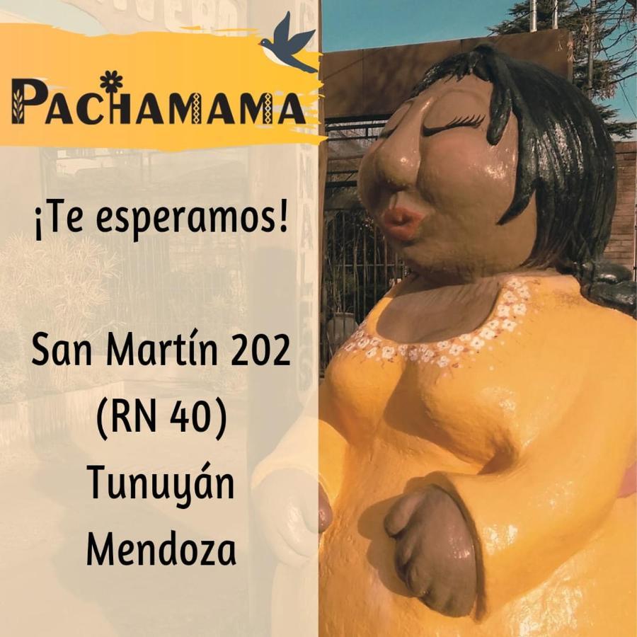 Apartamento Departamentos Pachamama Tunuyán Exterior foto